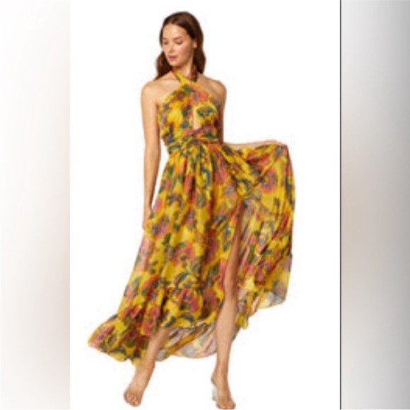 Misa Los Angeles Faye Maxi - Picture 2 of 8